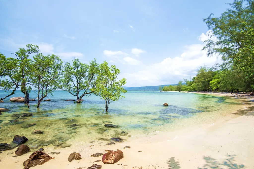 หาดไม้รูด