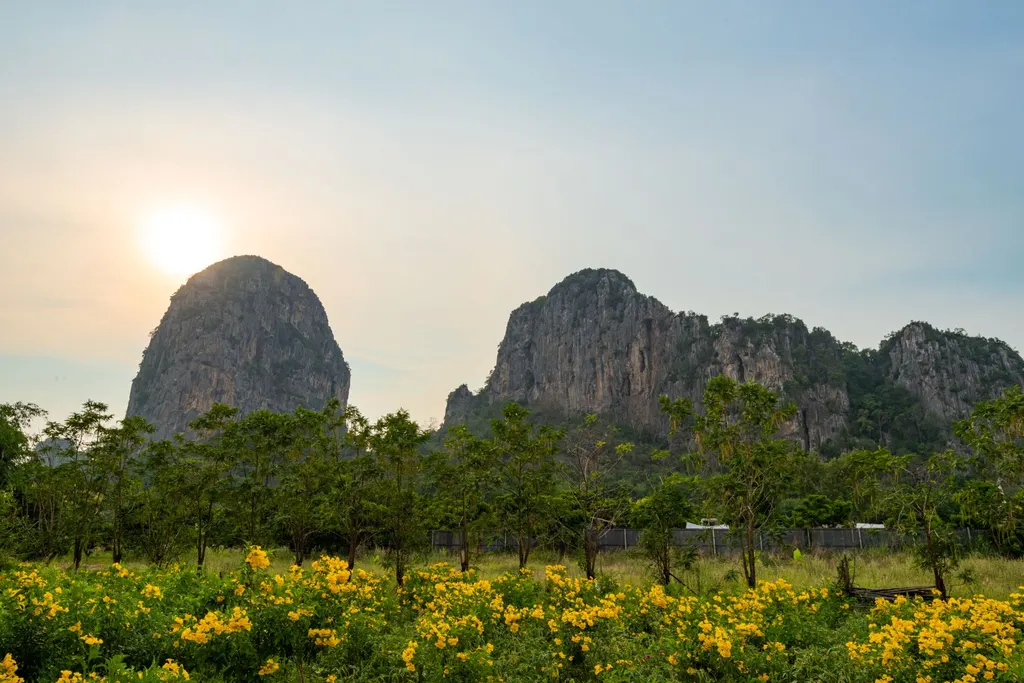สวนรุกขชาติเขาฉกรรจ์