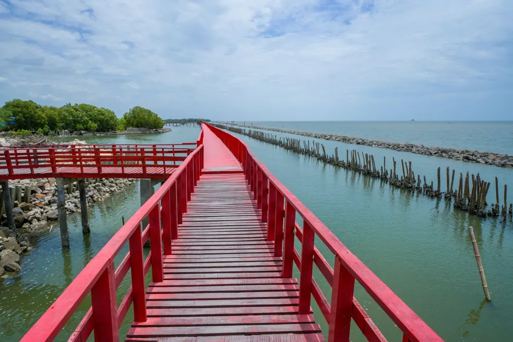 สะพานแดง จุดชมวิวปลาโลมา