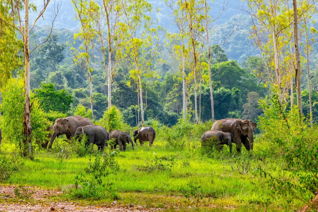 อุทยานแห่งชาติกุยบุรี