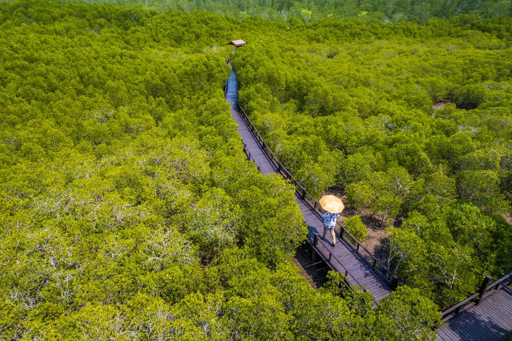 วนอุทยานปราณบุรี