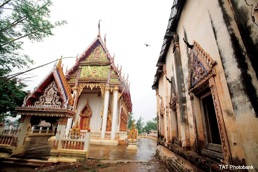 วัดหัวดง