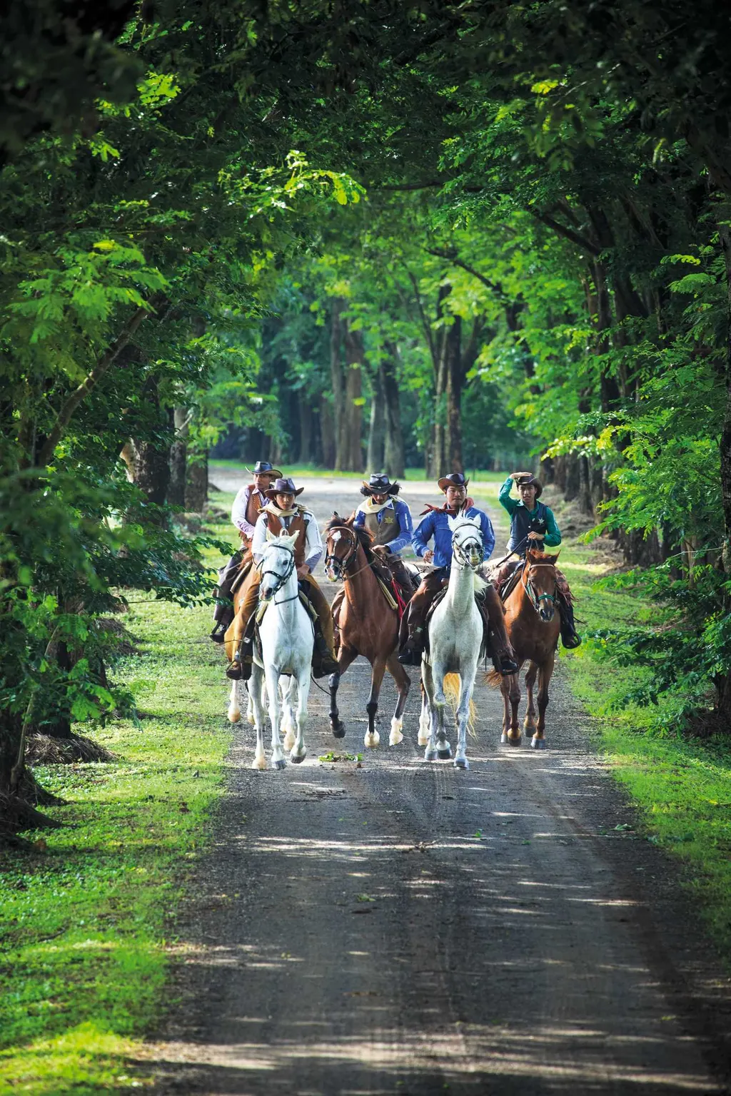 เขาใหญ่ 2 วัน 1 คืน ไร่-ฟาร์ม-คาเฟ่ และน้ำตกในอุทยาน