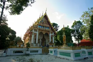 สวนป่าน